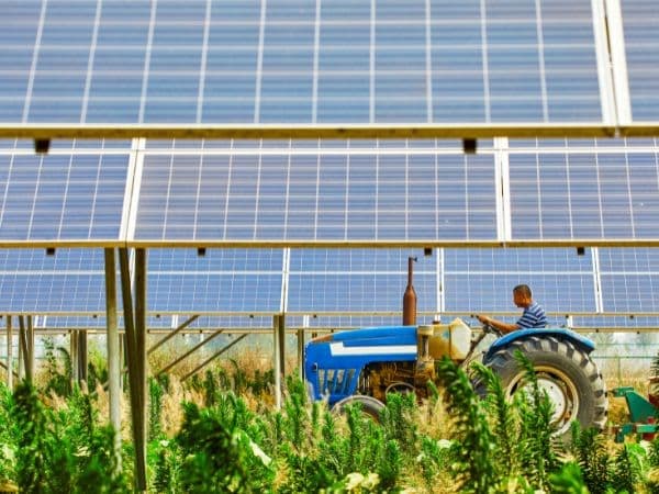 impianto fotovoltaico agricolo con certificazioni speciali