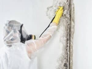 muffa su muro causata da ponte termico