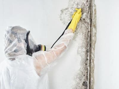 muffa su muro causata da ponte termico