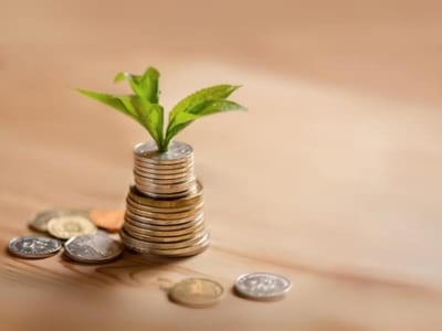 Concetto di risparmio economico per una casa passiva, con piantina che cresce sopra una pila di monete.